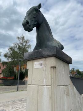 MOST-KOČIJA S KONJI-2